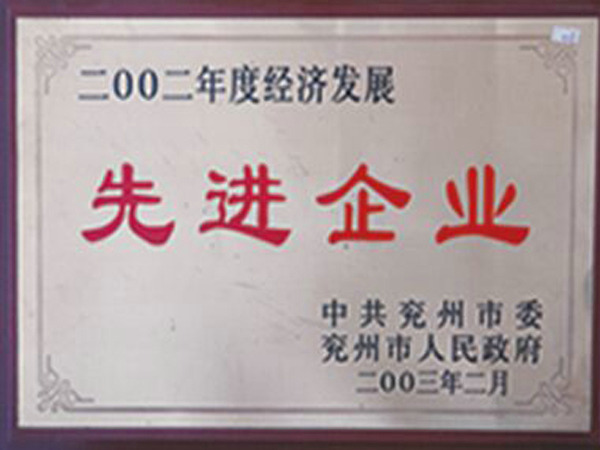 經(jīng)濟發(fā)展先進企業(yè).jpg